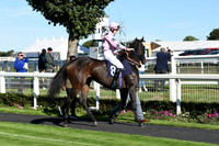 Gt_Yarm_5_Oct_2026-13