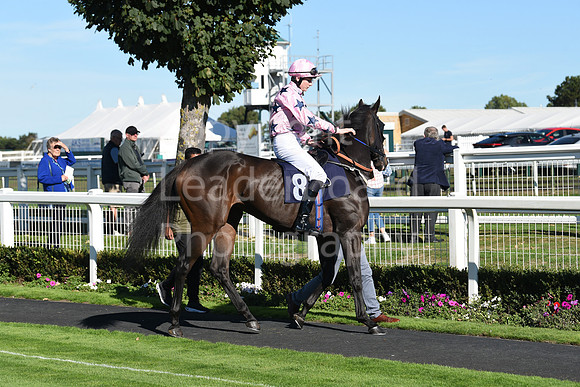 Gt_Yarm_5_Oct_2026-13