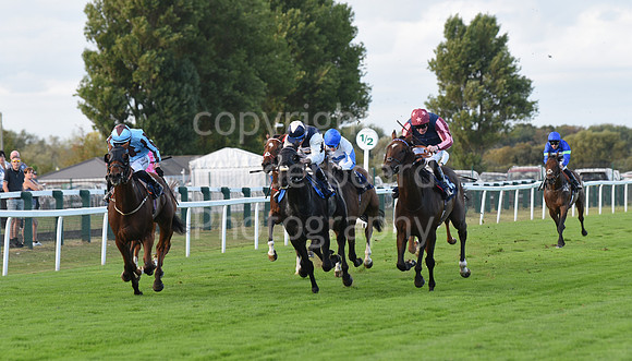 Gt_Yarm_5_Oct_2026-210