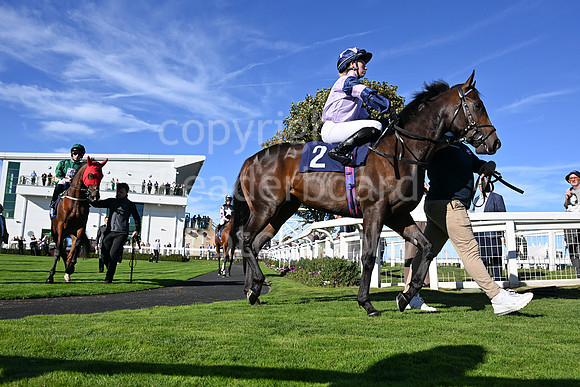 Gt_Yarm_5_Oct_2026-102