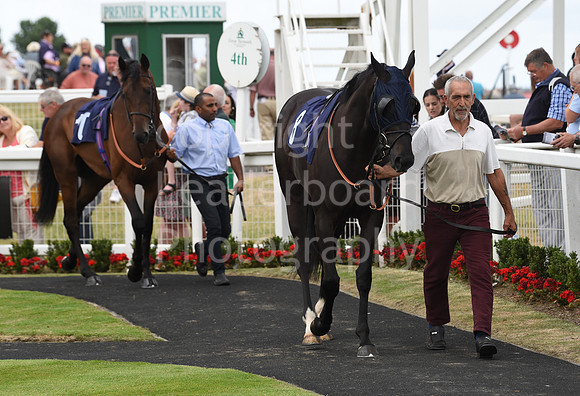 Gt_Yarm_26_July_2022-96