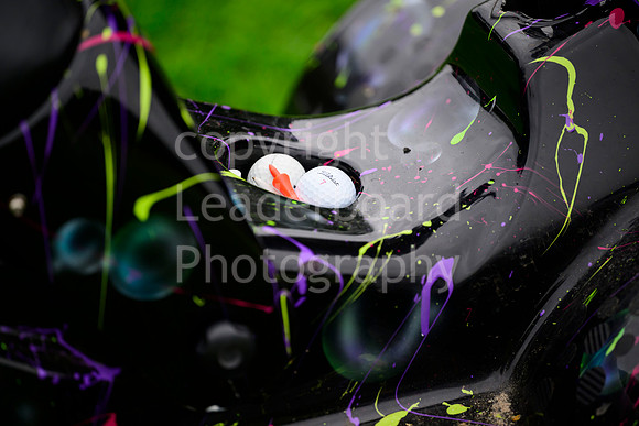 LBM_4007