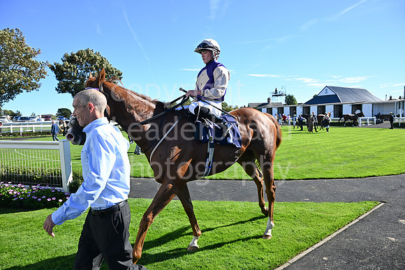 Gt_Yarm_5_Oct_2026-27