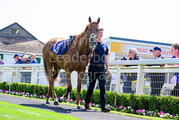 NZ9_0587