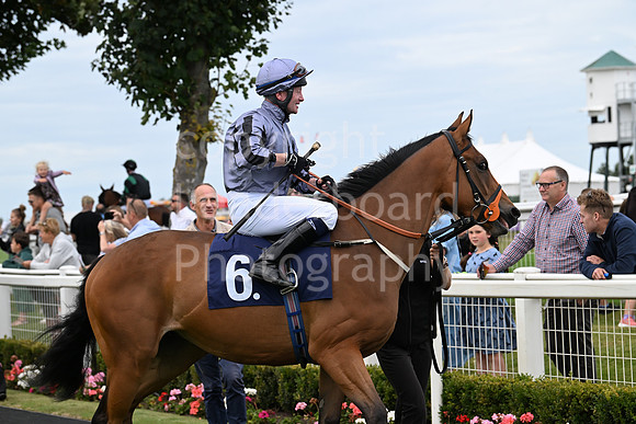 Gt_Yarm_25_Aug_Family_Raceday_2024-230