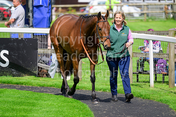 NB_003_Fakenham_09_05_23