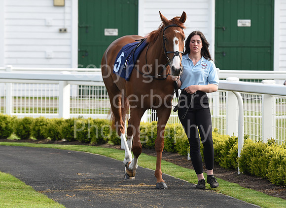 Gt_Yarm_May_2nd_2023-172