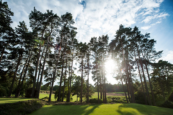 NB_Liphook_Senior.