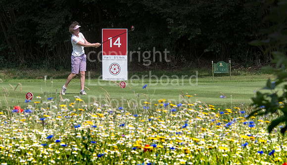 LB_Senior_Harpenden_1511
