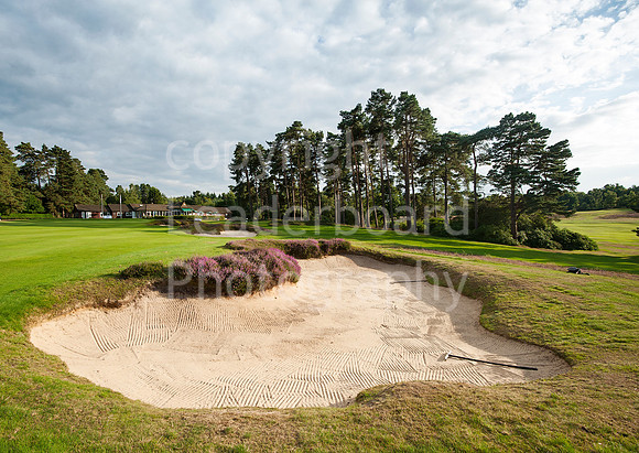 NB_Liphook_Senior.