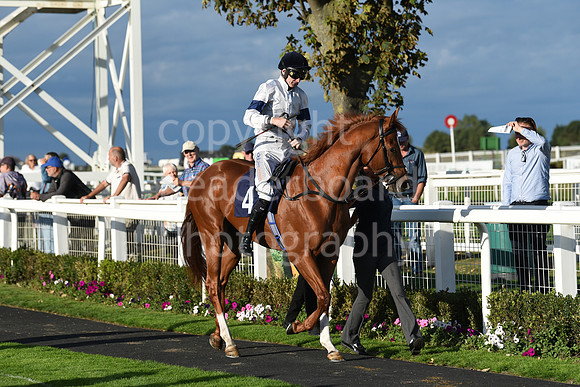 Gt_Yarm_5_Oct_2026-198