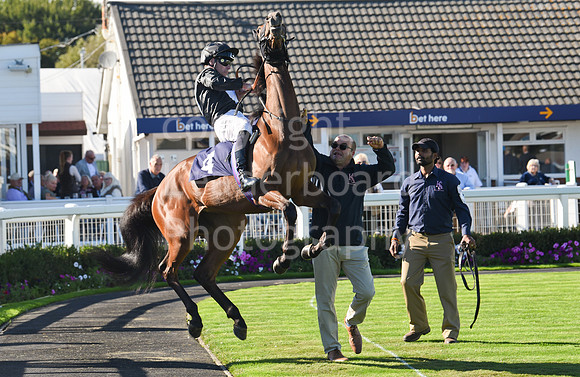 Gt_Yarm_5_Oct_2026-70