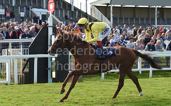 Gt_Yarm_May_2nd_2023-160