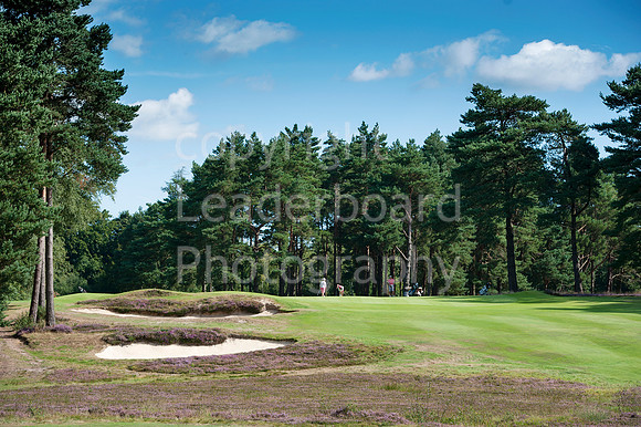 NB_Liphook_Senior.