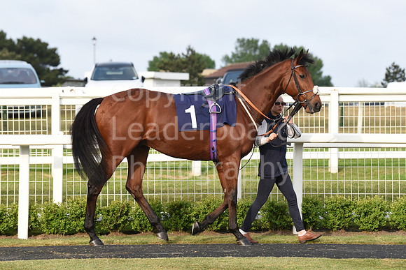 Gt_Yarm_8th_June_2023-99