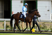 16_GY_Races_20Aug