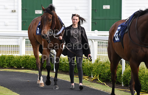 Gt_Yarm_8th_June_2023-61