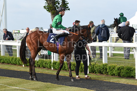 Gt_Yarm_8th_June_2023-38