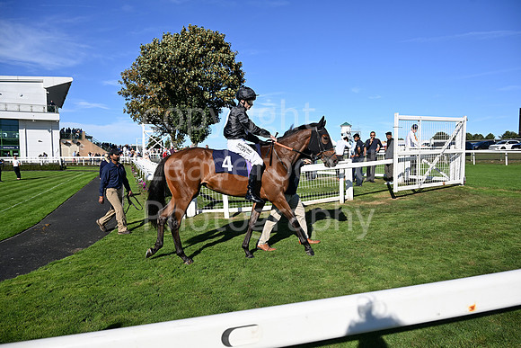 Gt_Yarm_5_Oct_2026-73