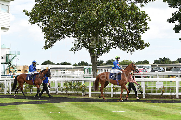 Great_Yarm_Racing_15July-22