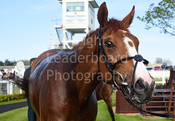 Gt_Yarm_May_2nd_2023-213