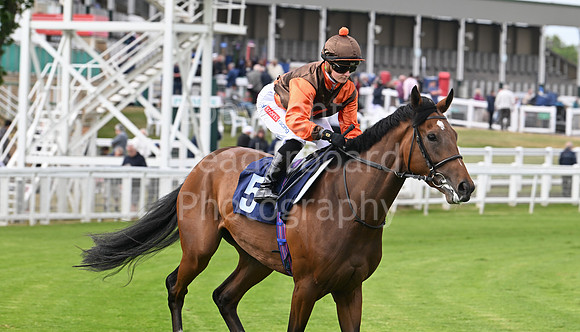 Gt_Yarm_May14_2025-147