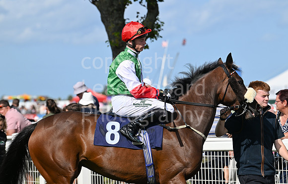 Gt_Yarm_25_Aug_Family_Raceday_2024-100