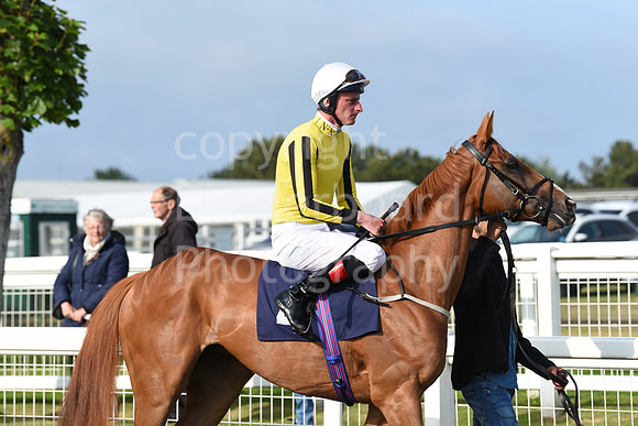 Gt_Yarm_8th_June_2023-7