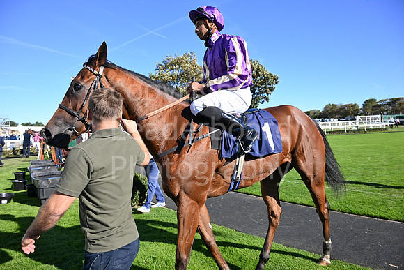 Gt_Yarm_5_Oct_2026-87