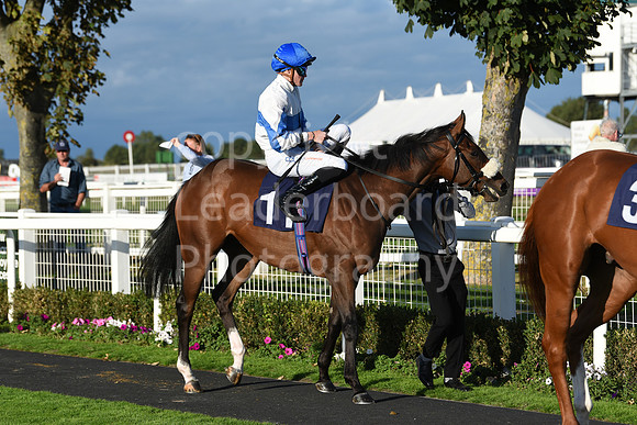 Gt_Yarm_5_Oct_2026-196