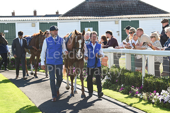 Gt_Yarm_5_Oct_2026-31