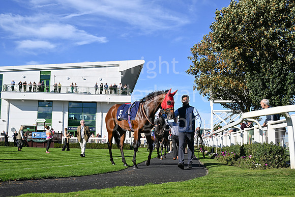 Gt_Yarm_5_Oct_2026-97
