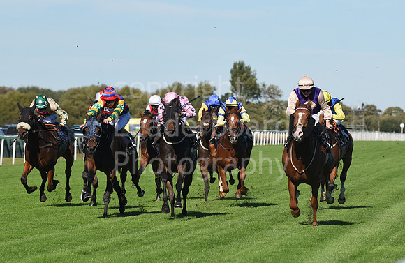 Gt_Yarm_5_Oct_2026-18