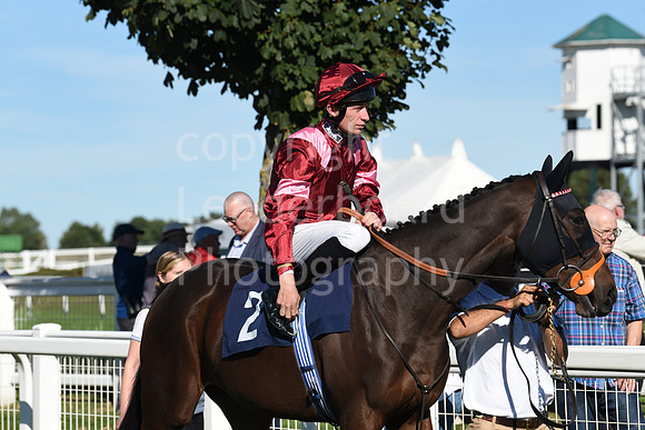 Gt_Yarm_5_Oct_2026-41