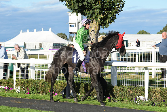 Gt_Yarm_5_Oct_2026-188