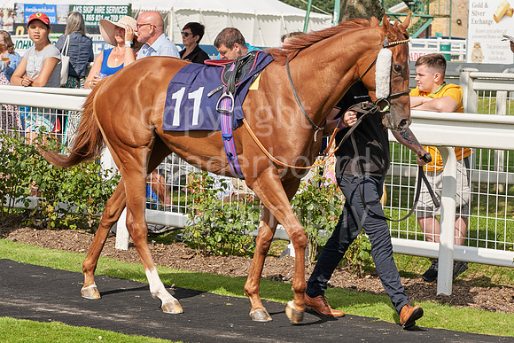 Great Yarmouth  Race Six 11th Aug 2021 0432
