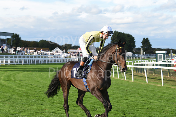 Gt_Yarm_5_Oct_2026-161