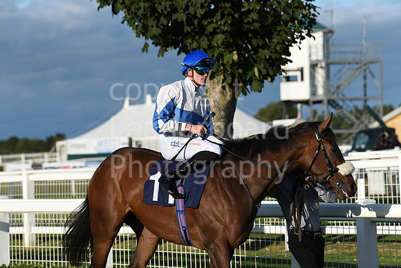 Gt_Yarm_5_Oct_2026-197