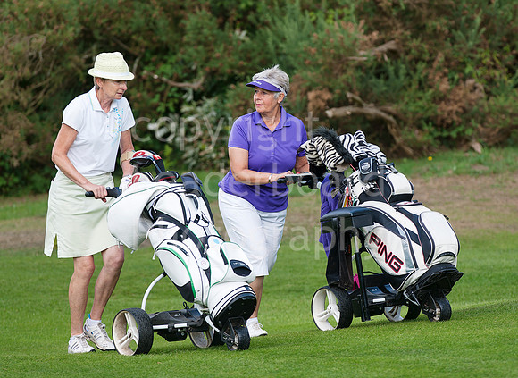 NB_Liphook_Senior.