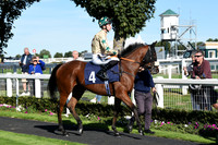 Gt_Yarm_5_Oct_2026-8
