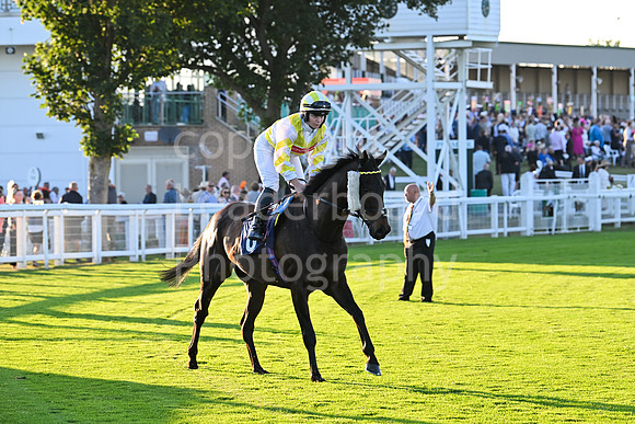 Gt_Yarm_Ladies Night_2025-167