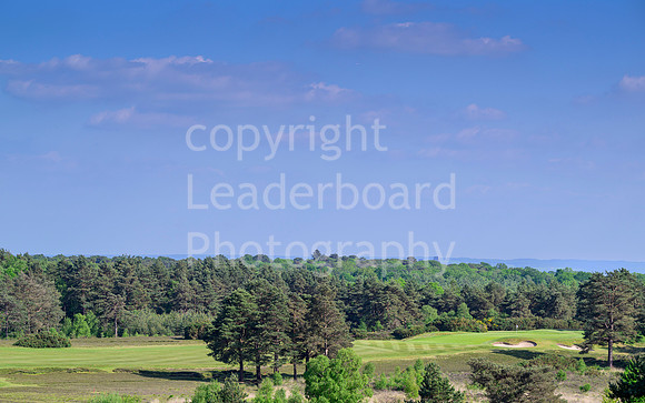 LBM_0294