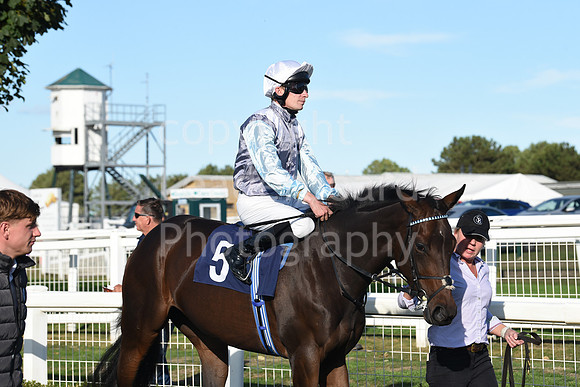 Gt_Yarm_5_Oct_2026-129