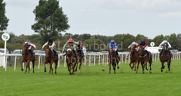 Gt_Yarm_25th_Sept_2022-14