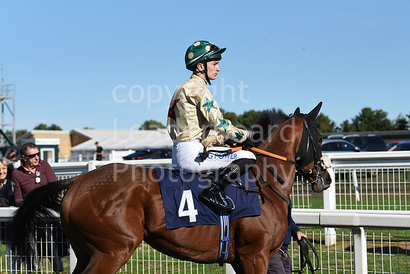 Gt_Yarm_5_Oct_2026-9