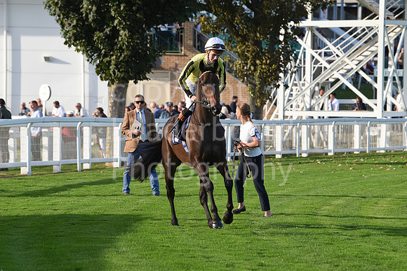 Gt_Yarm_5_Oct_2026-160