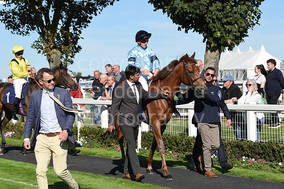 Gt_Yarm_5_Oct_2026-34