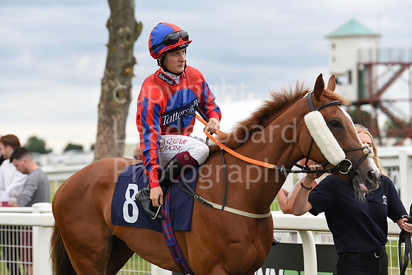 Gt_Yarm_06_July_2022-138
