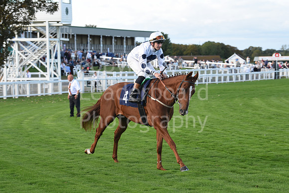 Gt_Yarm_5_Oct_2026-159