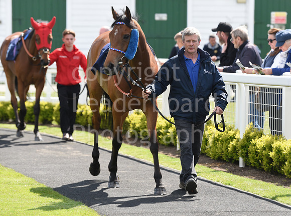 Gt_Yarm_May_2nd_2023-1
